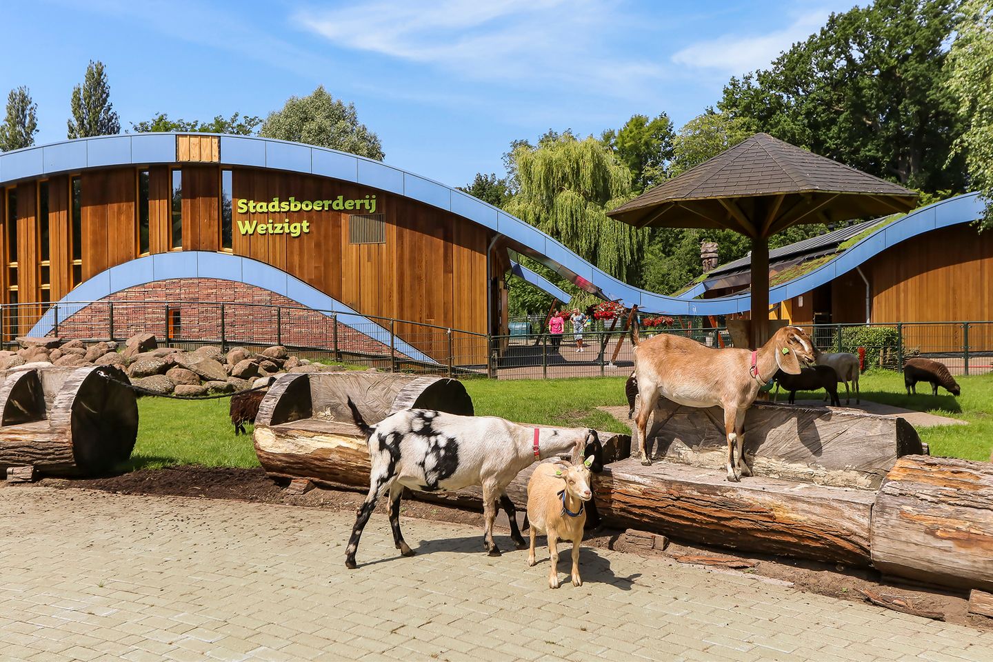 Foto 25 van Hendrikstraat 42