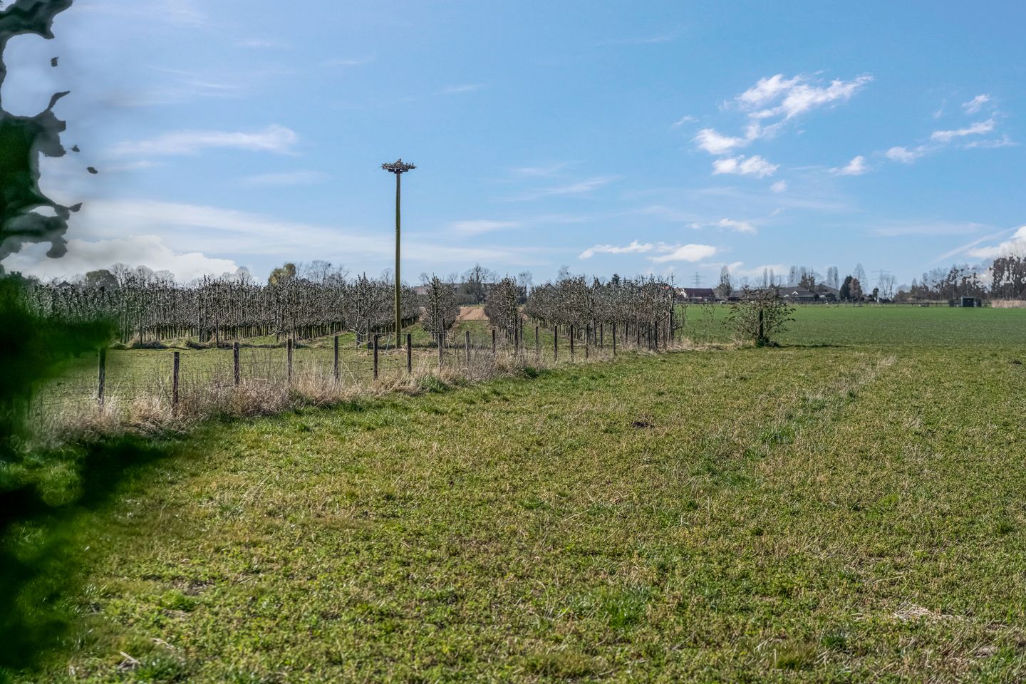 Foto 55 van Slangenburgstraat 15