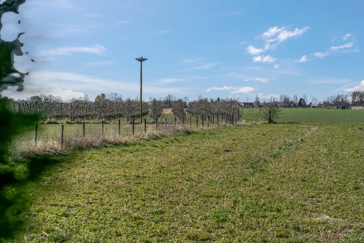 Foto 55 van Slangenburgstraat 15