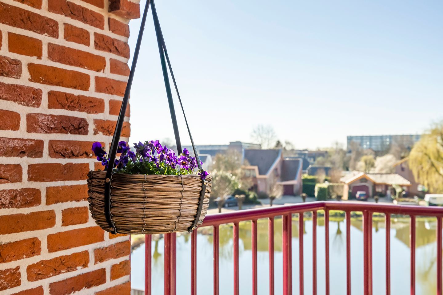 Foto 10 van Blauwe Reiger 22