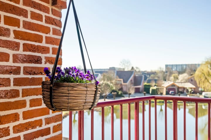 Foto 10 van Blauwe Reiger 22