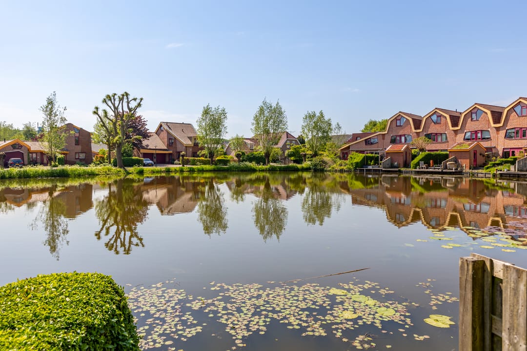 Foto 11 van Blauwe Reiger 22