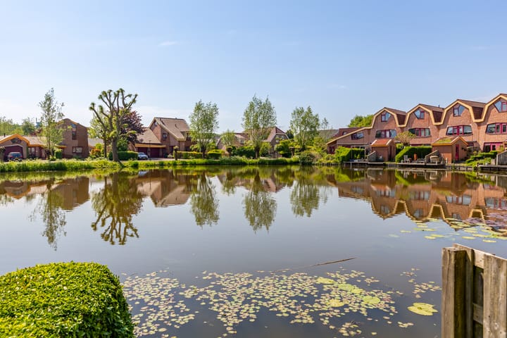 Foto 11 van Blauwe Reiger 22