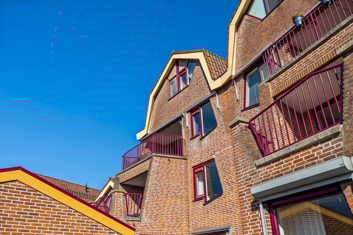 Foto 24 van Blauwe Reiger 22