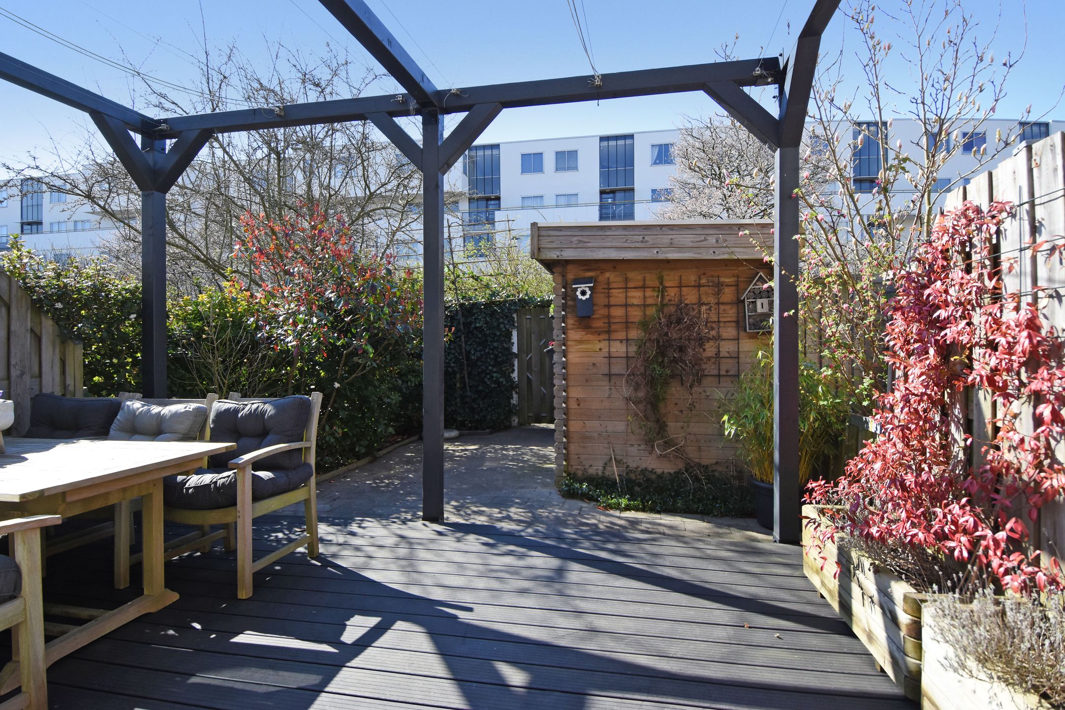 Photo 36 of Agrippinastraat 29