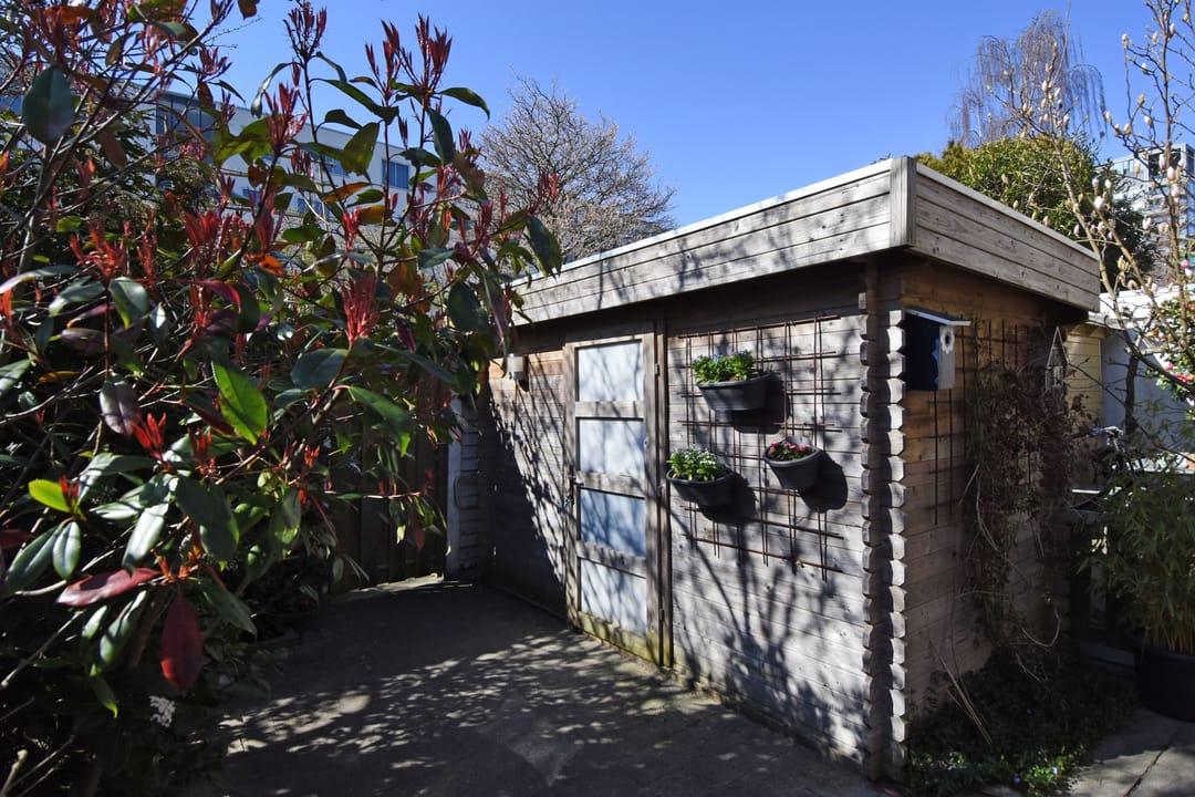 Photo 38 of Agrippinastraat 29