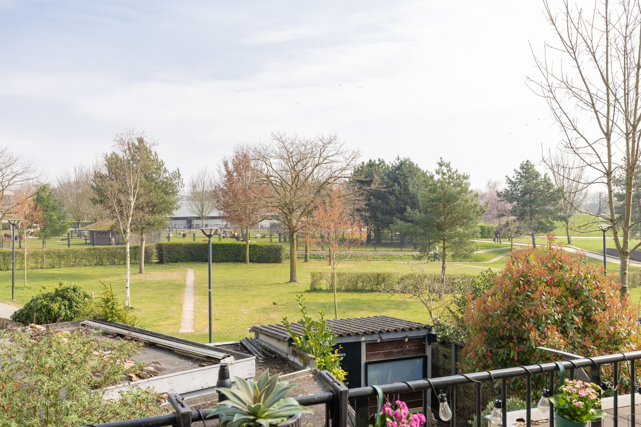 Foto 3 van Van Swindenstraat 73-BS