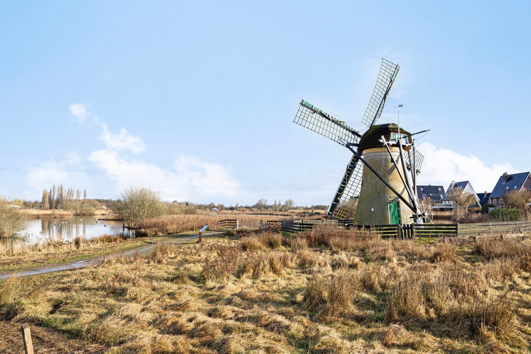 Foto 28 van Lobeliuslaan 214