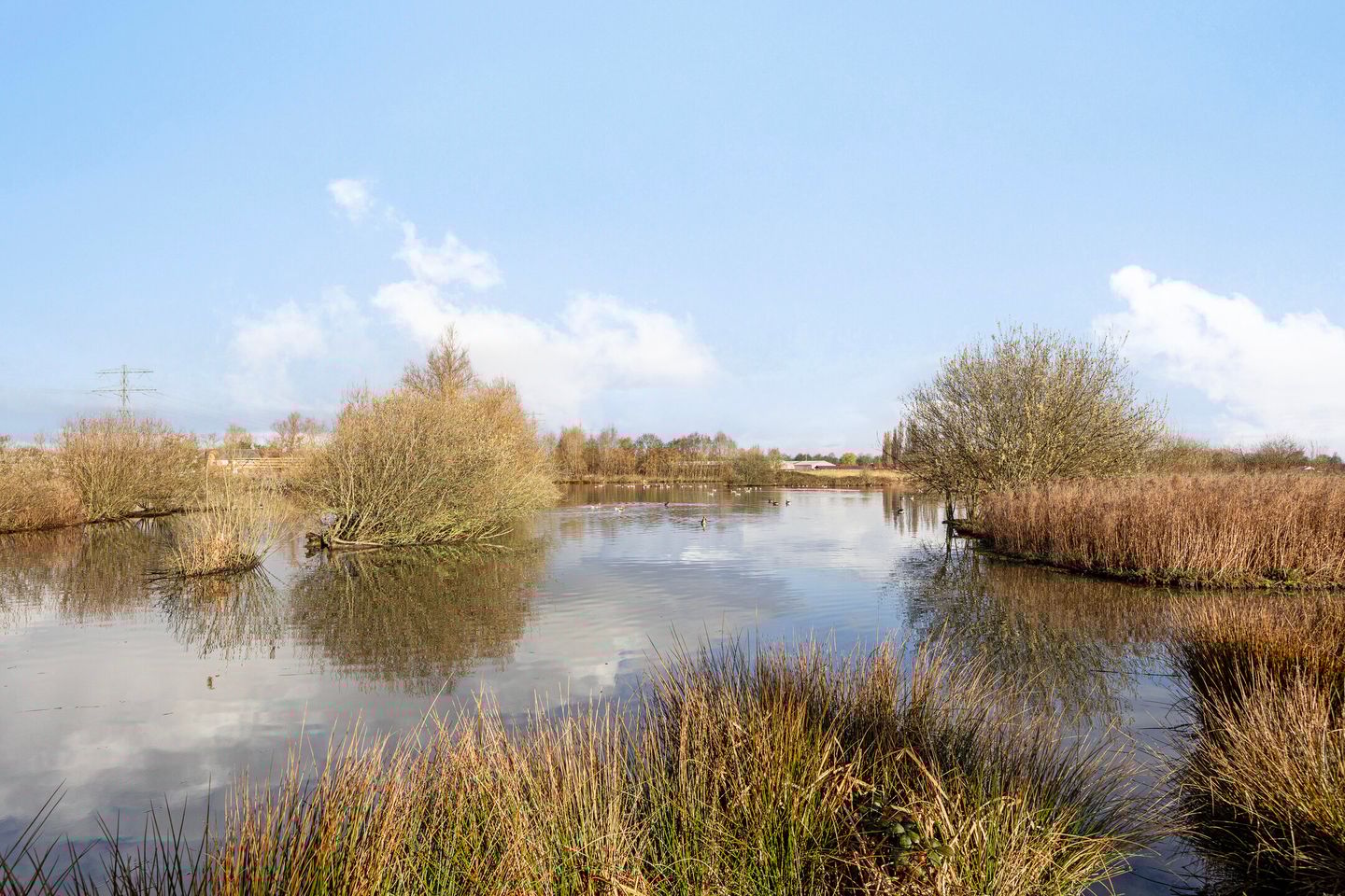 Foto 29 van Lobeliuslaan 214