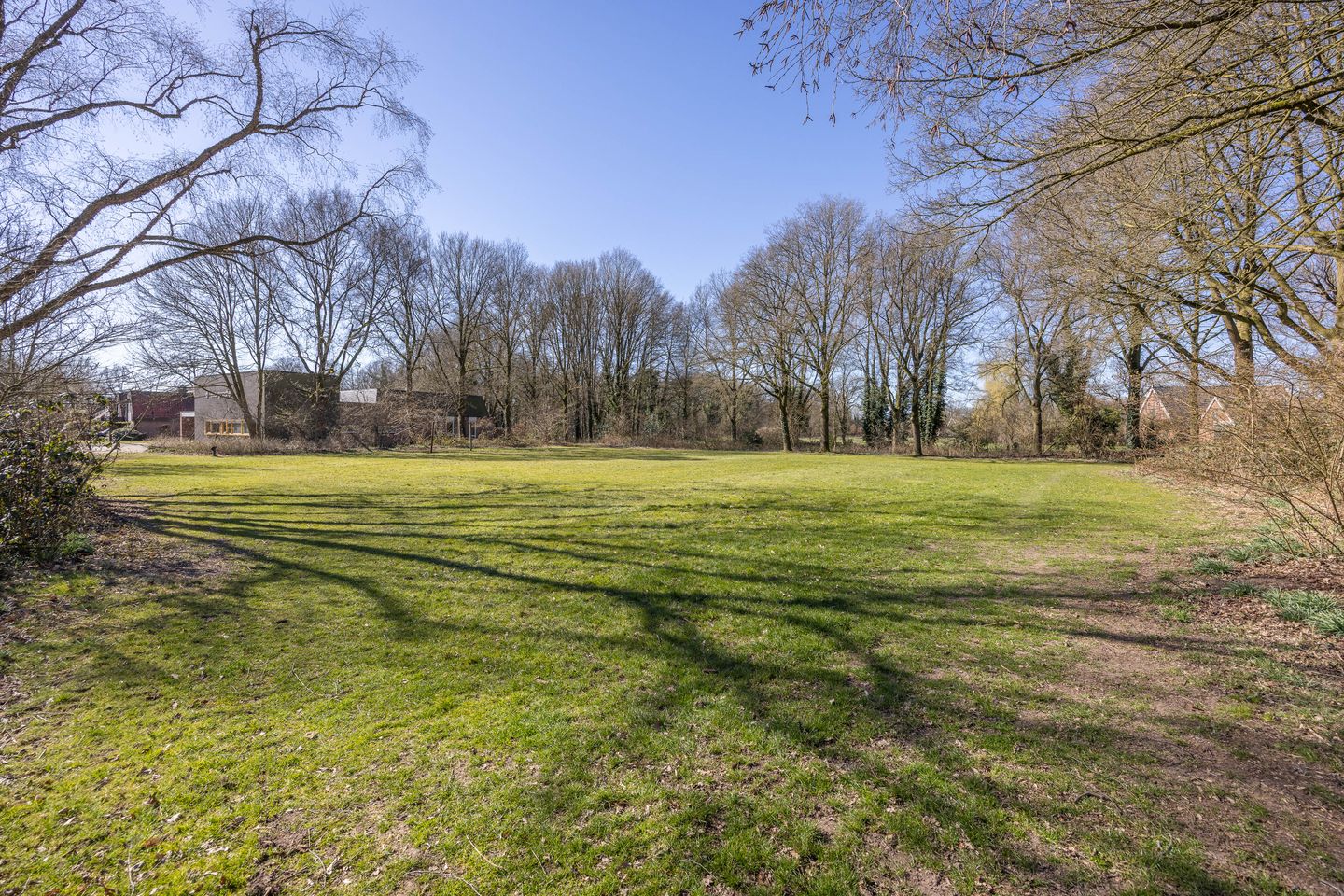 Foto 49 van Palfijnstraat 8