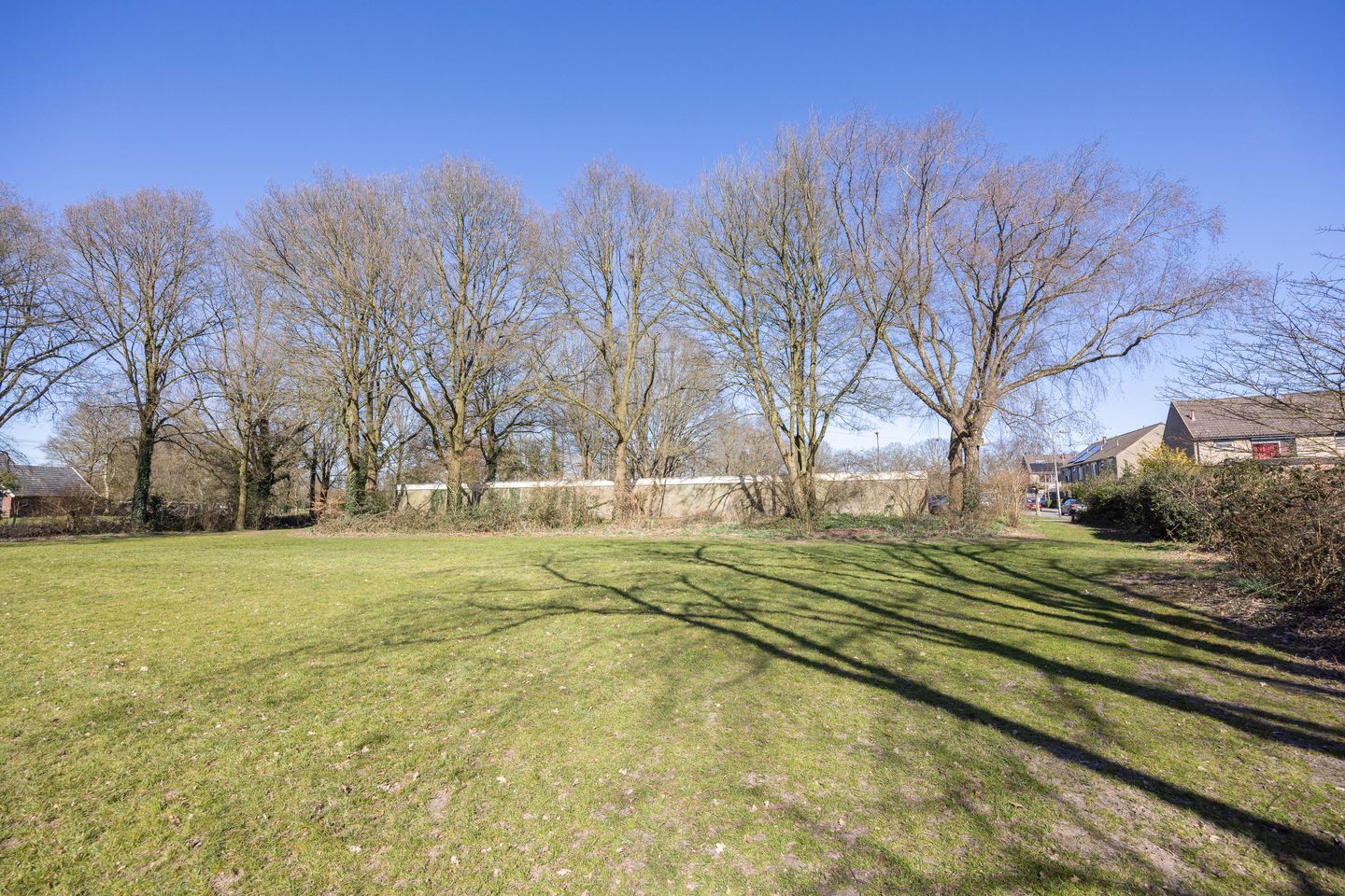 Foto 50 van Palfijnstraat 8