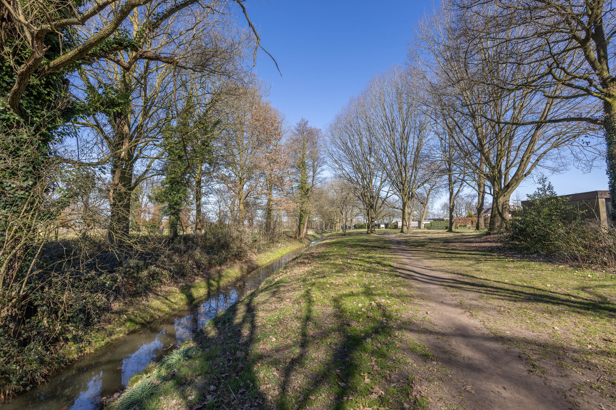 Foto 51 van Palfijnstraat 8