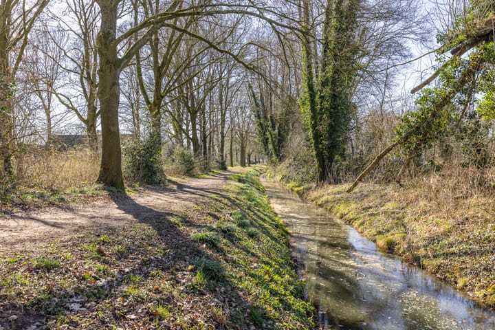 Foto 52 van Palfijnstraat 8