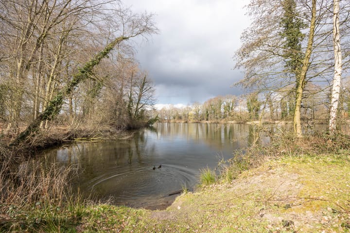 Foto 69 van Harplaan 21