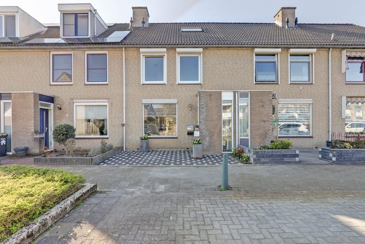 undefined main image
