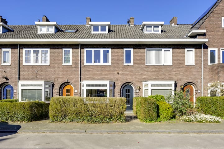 undefined main image