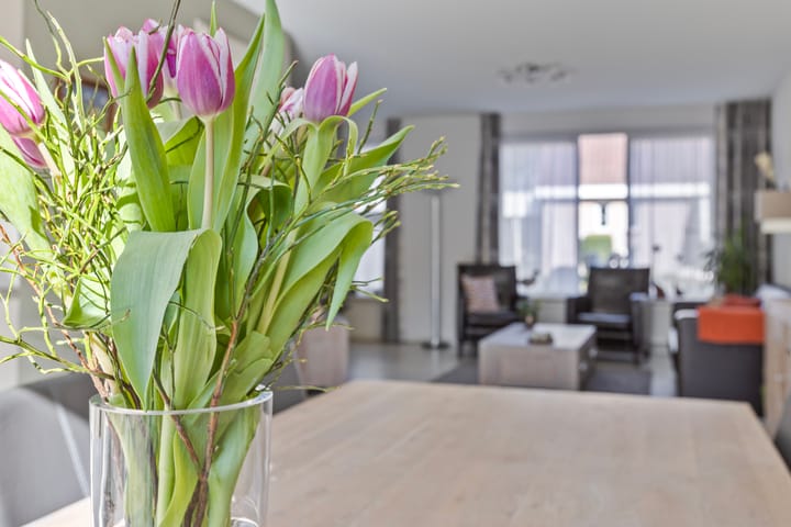 Foto 16 van Koos Roksstraat 5