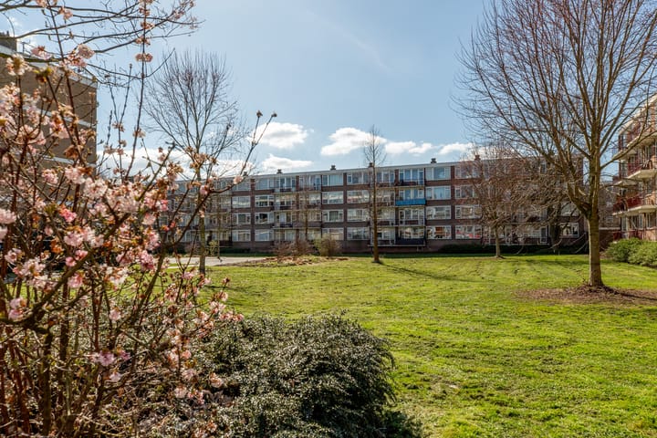 Foto 2 van Plotinusstraat 18