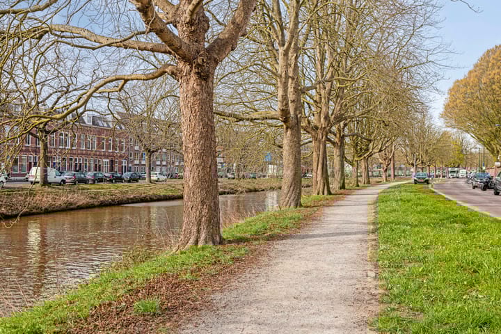 Foto 52 van Tramsingel 102