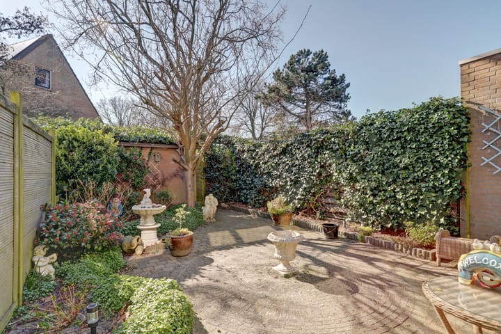 Foto 3 van Vivaldi 31