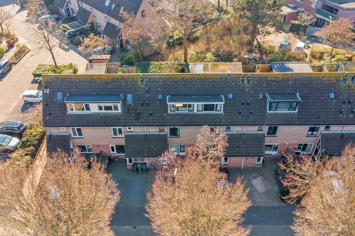 Foto 24 van Vivaldi 31