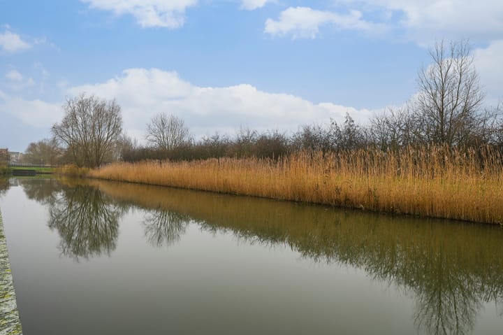 Foto 30 van Westergosingel 72