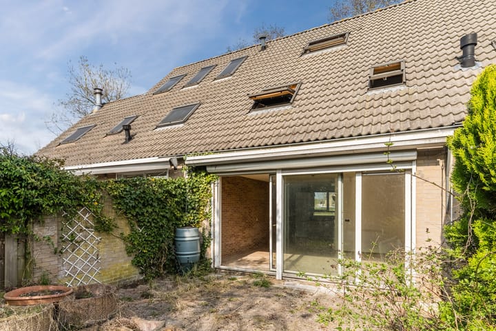 Foto 6 van Kerkuil 5