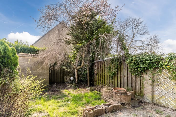 Foto 23 van Kerkuil 5