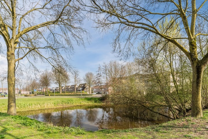 Foto 26 van Kerkuil 5