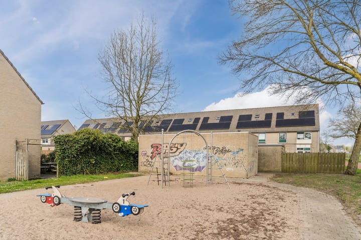 Foto 29 van Kerkuil 5