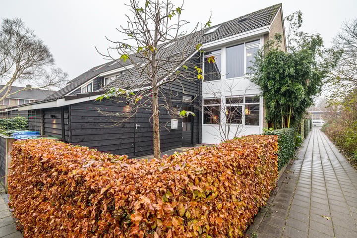 Bekijk foto van Wulpstraat 15