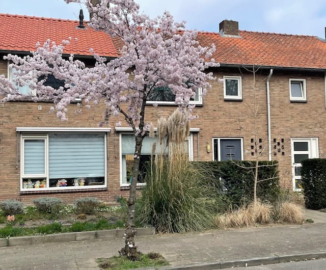 Foto 1 van Willem Marislaan 12