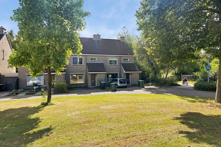 Foto 2 van Bonte Kraai 24