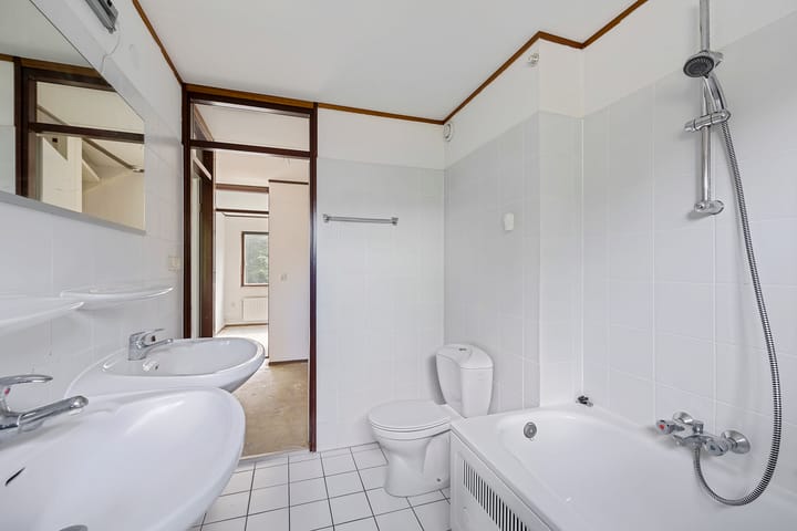 Foto 18 van Bonte Kraai 24