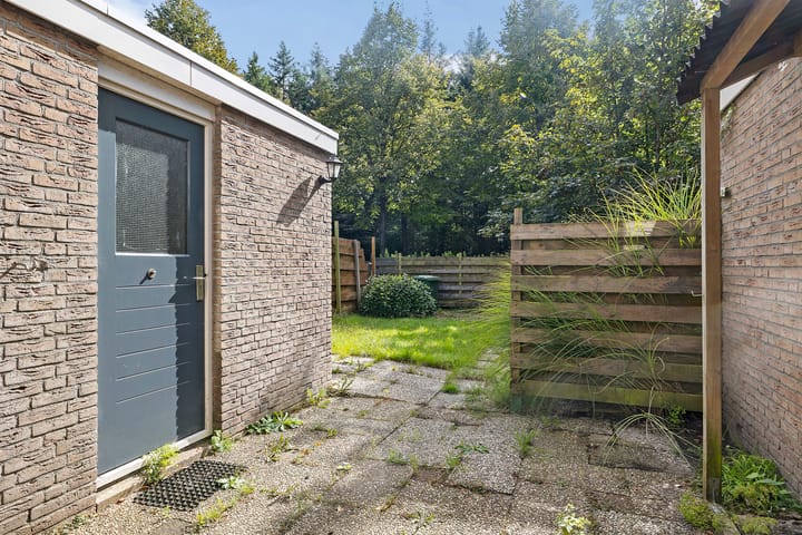 Foto 27 van Bonte Kraai 24