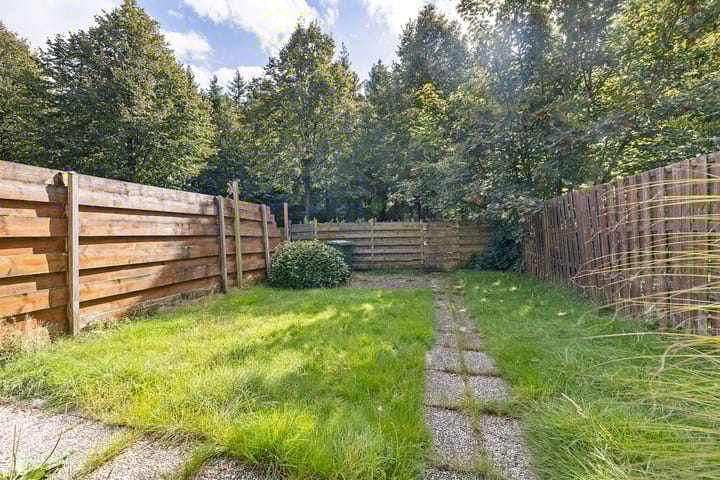 Foto 28 van Bonte Kraai 24