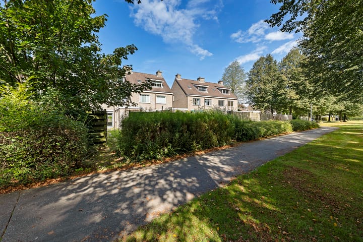 Foto 30 van Bonte Kraai 24