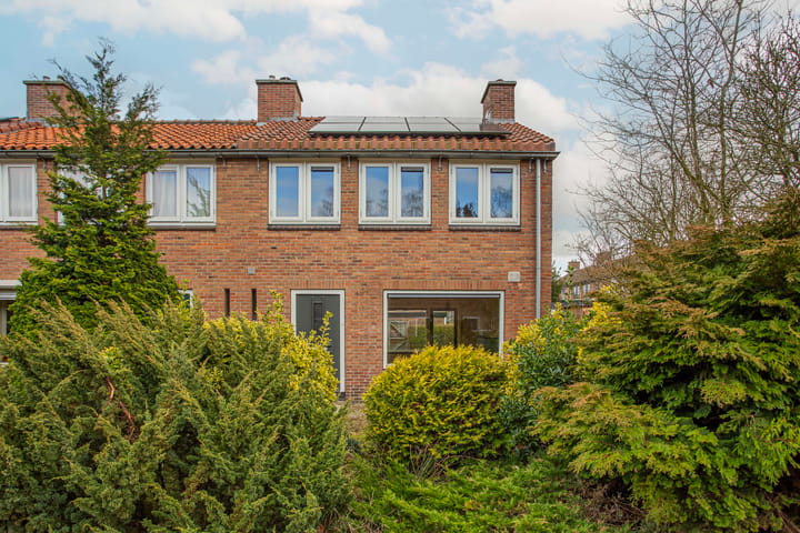 Foto 1 van Dommelstraat 1