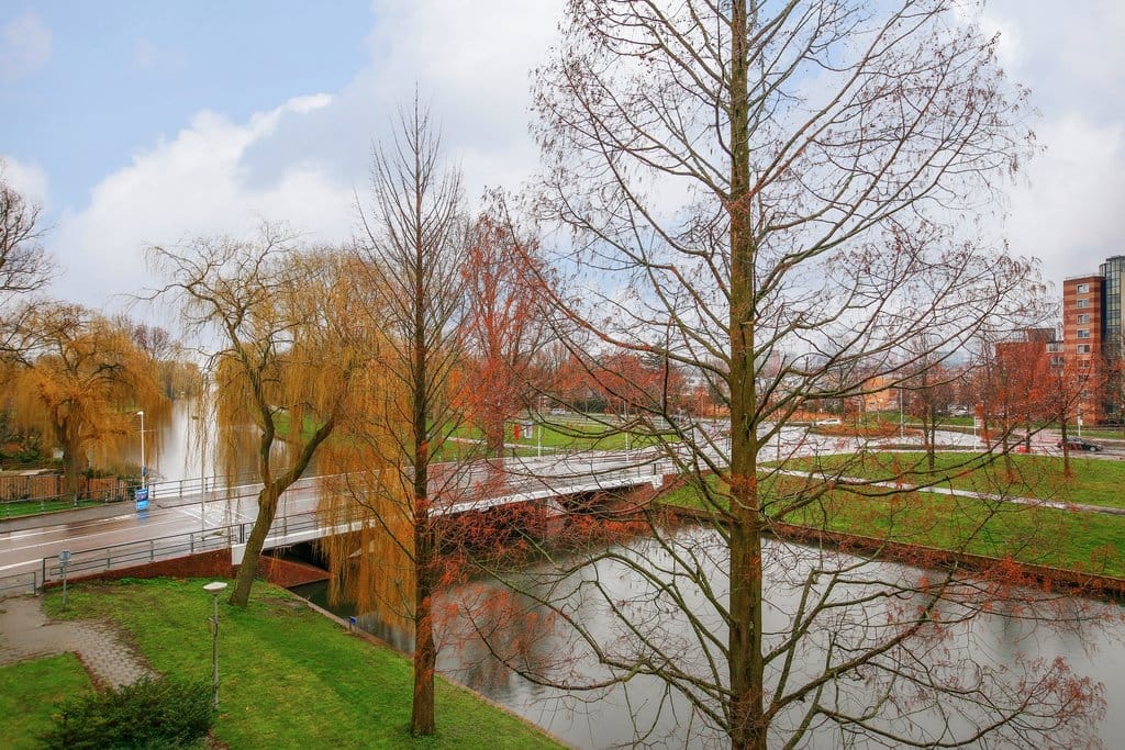 Photo 19 of Prof. R. Casimirstraat 84