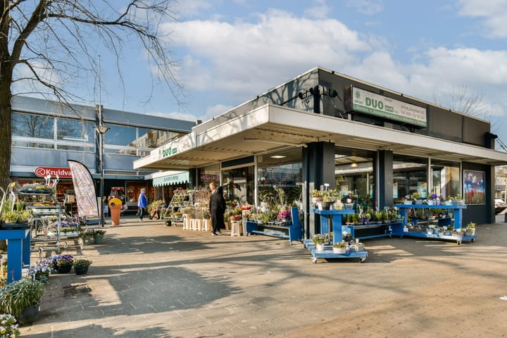 Foto 21 van Lorentzplein 19