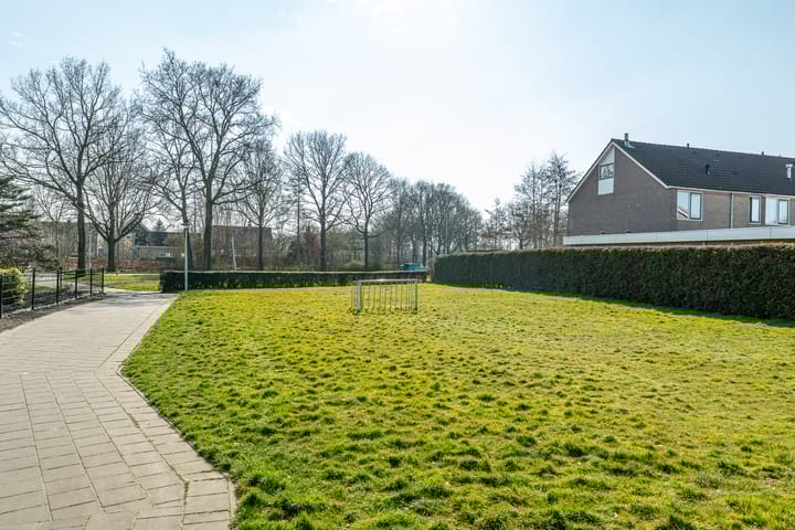 Foto 34 van Botsaard 5