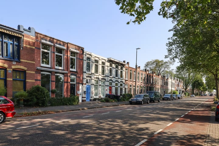 Foto 50 van Willem Lodewijkstraat 105