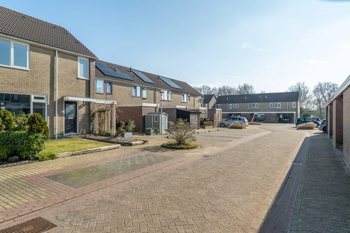 Foto 37 van Botsaard 5