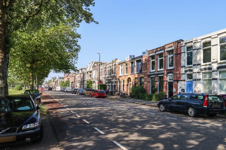 Foto 51 van Willem Lodewijkstraat 105