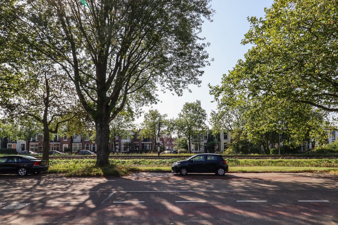 Photo 52 of Willem Lodewijkstraat 105