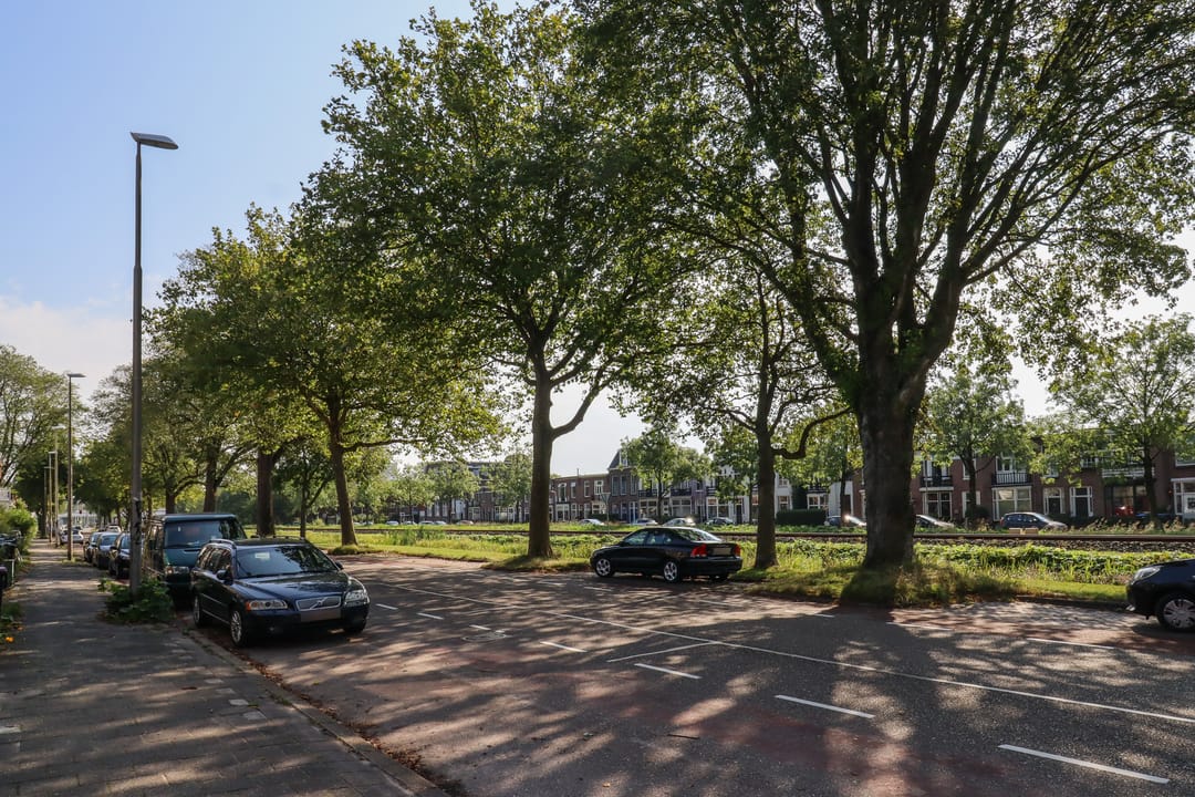 Photo 53 of Willem Lodewijkstraat 105