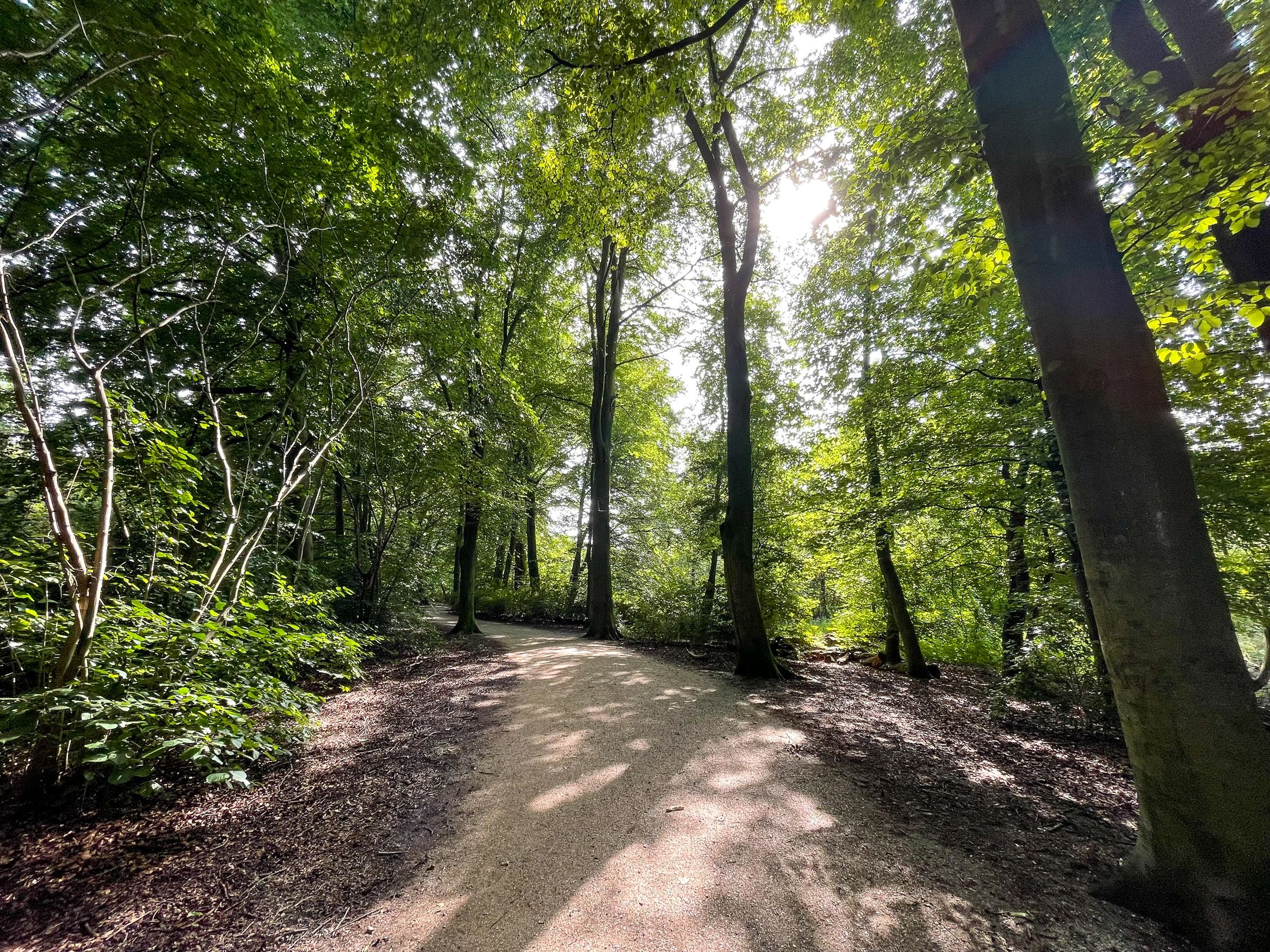 Foto 21 van Kramatweg 55-B