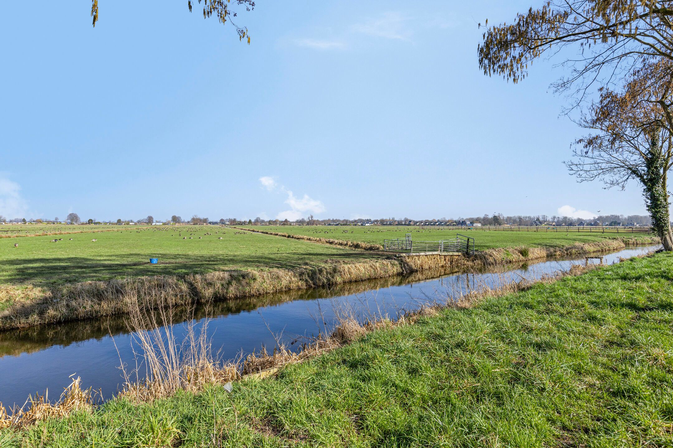 Foto 24 van Nolensstraat 12