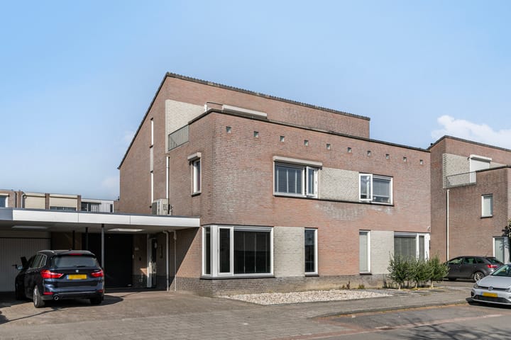 Foto 6 van Buizerd 122