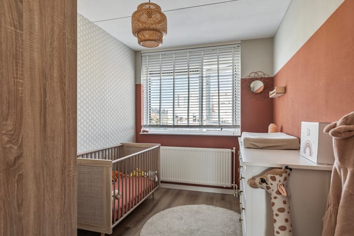 Foto 24 van Buizerd 122